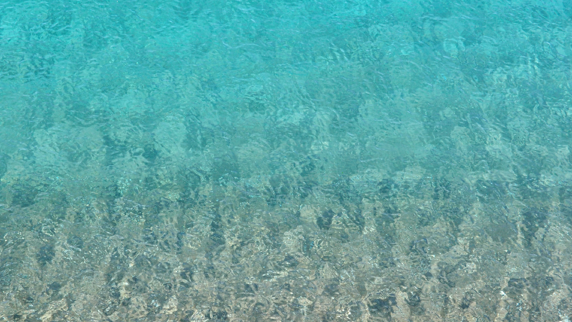 2022-10-22 09 Uhr 55 Wellen (Foto, Video)